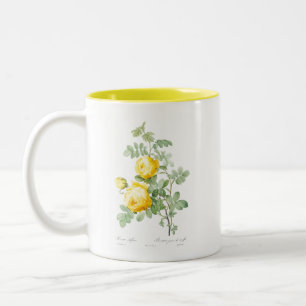 VINTAGE REDOUTÉ "GELBE ROSE" TASSE