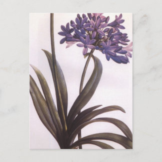 Vintage Redoute Lila Blume Postkarte
