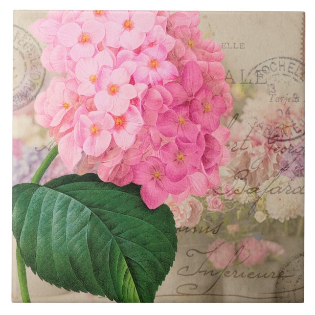 Vintage Redoute Pink Hydrangea Keramik Tile Fliese (Vorderseite)