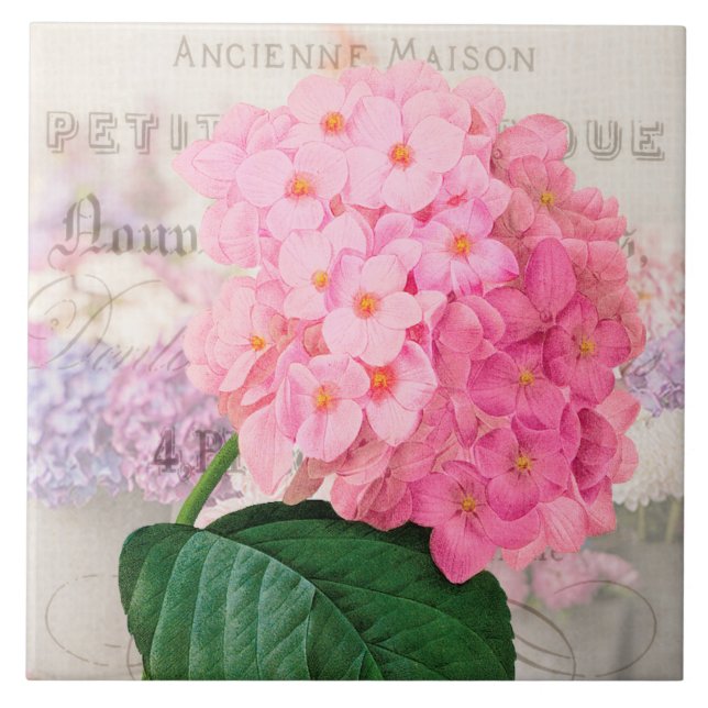 Vintage Redoute Pink Hydrangea Keramik Tile Fliese (Vorderseite)