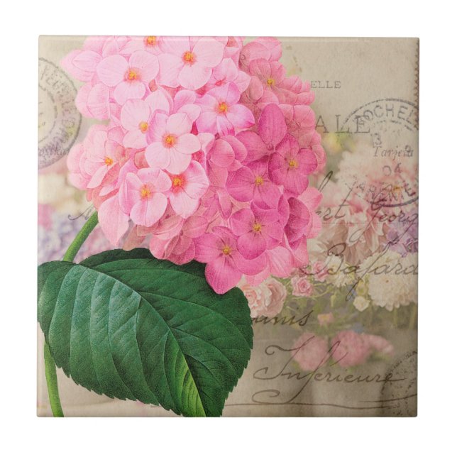 Vintage Redoute Pink Hydrangea Keramik Tile Fliese (Vorderseite)
