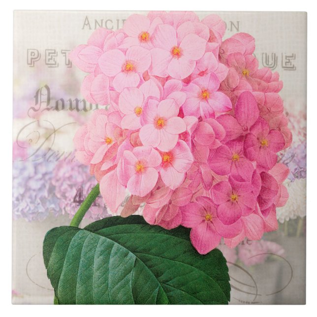 Vintage Redoute Rosa Hydrangeen-Keramikfliese Fliese (Vorderseite)