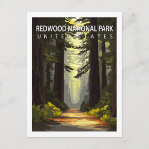 Vintage Redwood-Nationalpark Wanderung Wald Postkarte