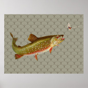 Vintage Regenbogenforelle Fischen Poster
