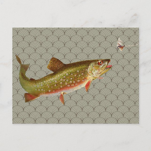 Vintage Regenbogenforelle Fischen Postkarte (Vorderseite)