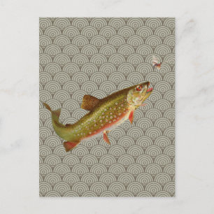 Vintage Regenbogenforelle Fischen Postkarte