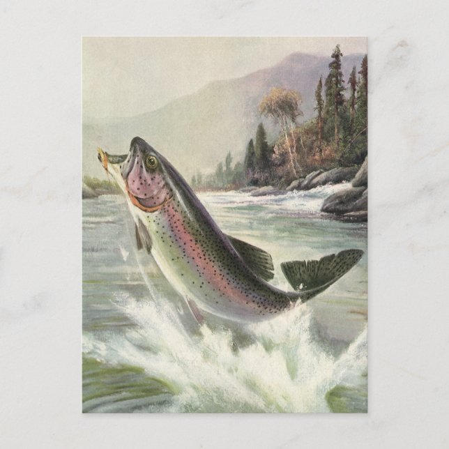 Vintage Regenbogenforelle Fischerei Postkarte (Vorderseite)