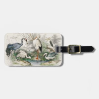 Vintage Reiher Storch und Kranich Natur Kunst Druc