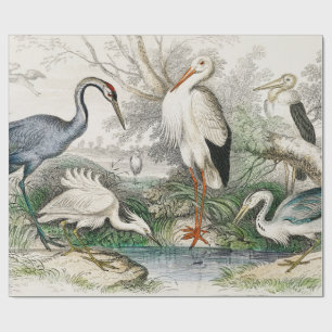 Vintage Reiher Storch und Kranich Natur Kunst Druc Geschenkpapier