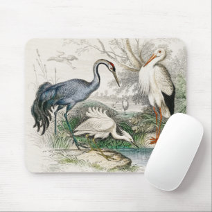 Vintage Reiher Storch und Kranich Natur Kunst Druc Mousepad