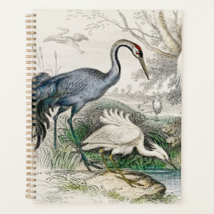 Vintage Reiher Storch und Kranich Natur Kunst Druc Planer