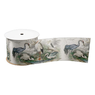 Vintage Reiher Storch und Kranich Natur Kunst Druc Satinband