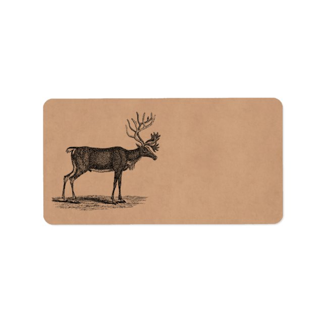 Vintage Reindeer-Illustration - Weihnachten des 18 Adressaufkleber (Vorne)