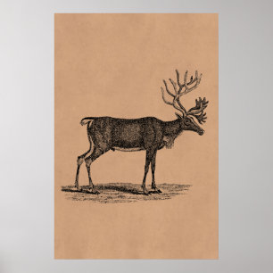 Vintage Reindeer-Illustration - Weihnachten des 18 Poster