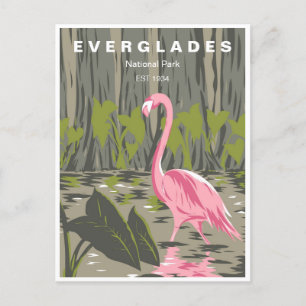 Vintage Reise Everglades Nationalpark Florida Postkarte