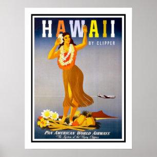 Vintage Reise Hawaiis Poster