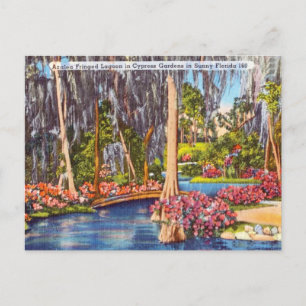 Vintage-Reise-Postkarte aus Florida Cypress Garden Postkarte