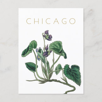 Vintage Reisen der Blume Chicago Mitte des Jahrhun Postkarte