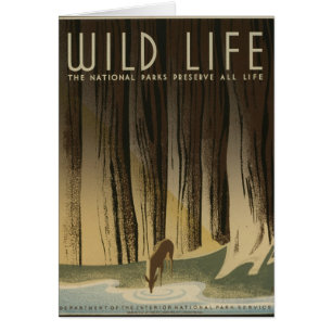 Vintage-Reiseposter - Wildtiere circa 1940