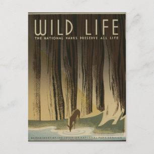 Vintage-Reiseposter - Wildtiere circa 1940 Postkarte