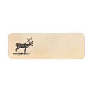 Vintage Ren-Illustration - Weihnachten 1800's