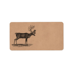 Vintage Ren-Illustration - Weihnachten 1800's Adressaufkleber