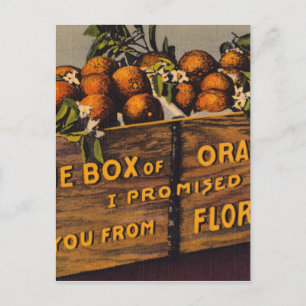 Vintage Retro Florida Orangen Postkarte