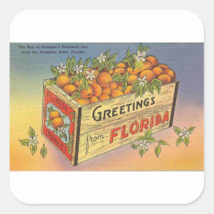 Vintage Retro Florida-Orangen Quadratischer Aufkleber