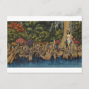 Vintage Retro Florida Zypressengärten Postkarte