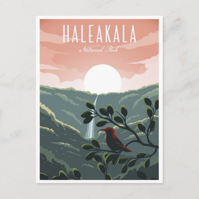Vintage Retro Haleakala Hawaï Nationalpark Postkarte (Vorderseite)