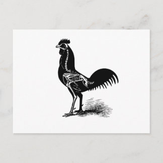 Vintage Retro-Hühneranatomie-Skizze Postkarte