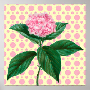 Vintage-Retro-Kunst-Blumenposter der rosa Hortensi Poster