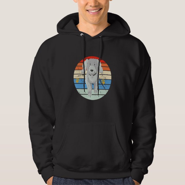 Vintage Retro Pudel Hoodie (Vorderseite)