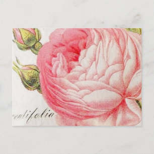 Vintage Retro romantische Valentinsrose Feiertagspostkarte