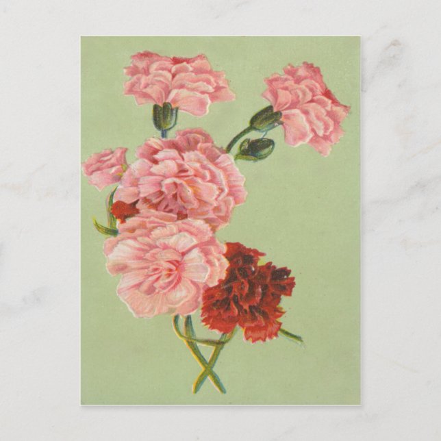 Vintage Retro-Rose Postkarte (Vorderseite)