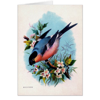 Vintage Retro Vogel auf Ast Karte
