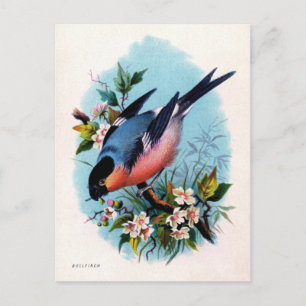 Vintage Retro Vogel auf Ast Postkarte