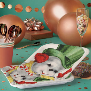 Vintage Retro Weihnachtsschneeplatte Party Pappteller