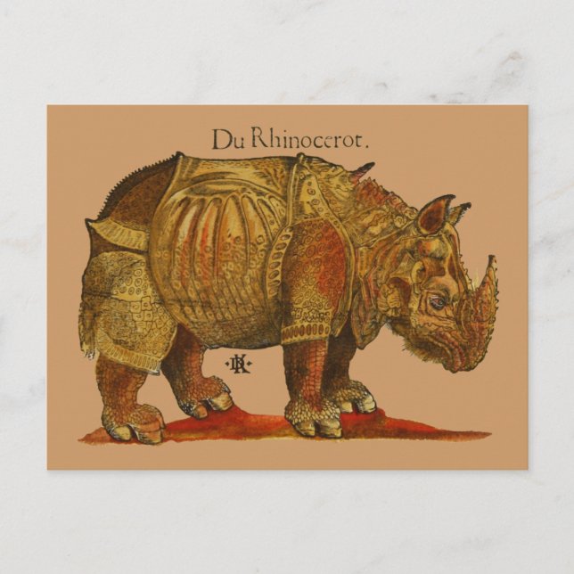 Vintage Rhino Durer's Rhinoceros Antike Postkarte (Vorderseite)