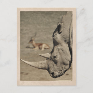 Vintage Rhino Postkarte