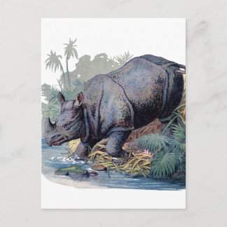Vintage Rhino Postkarte