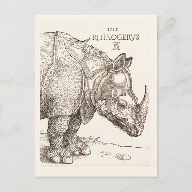 Vintage Rhinoceros Postkarte (Vorderseite)