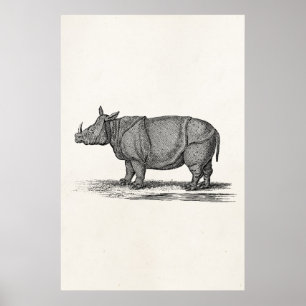 Vintage Rhinozeros-Illustration der 1800er Jahre - Poster