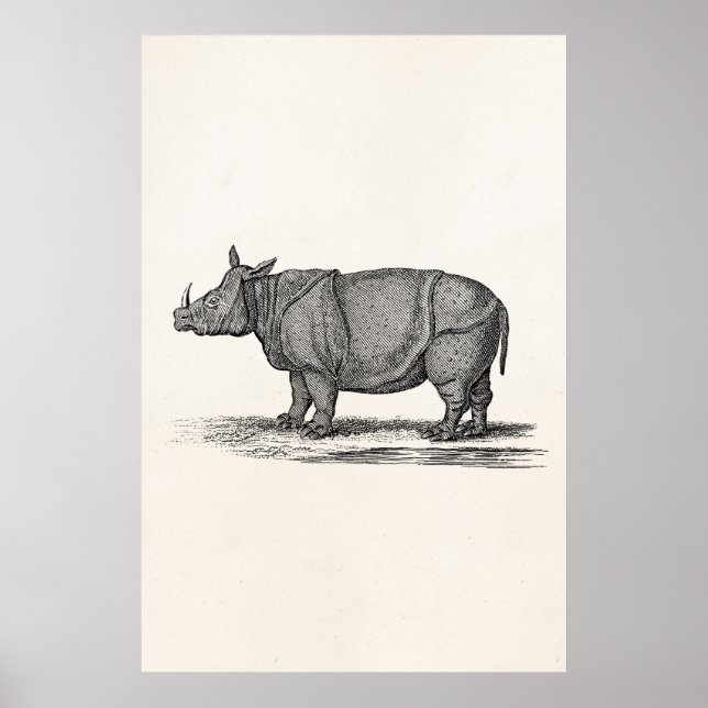 Vintage Rhinozeros-Illustration der 1800er Jahre - Poster (Vorne)