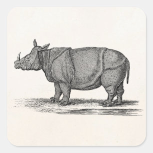 Vintage Rhinozeros-Illustration der 1800er Jahre - Quadratischer Aufkleber