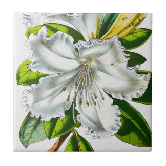 Vintage Rhododendron Botanik Fliese
