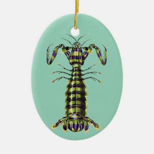 Vintage-Riesengarnele-Marinekunst-Druck Keramik Ornament