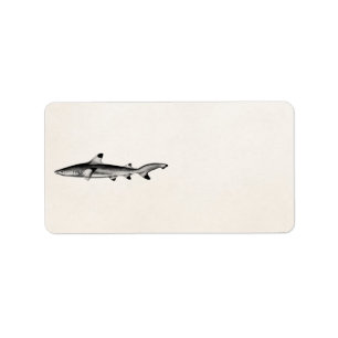 Vintage Riff-Haifisch-Illustration - Schwarzes Adressaufkleber