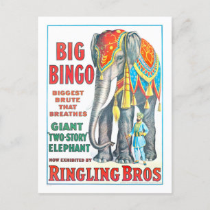 Vintage Ringling Bros Zirkuswerbung - Riesenelefan Postkarte