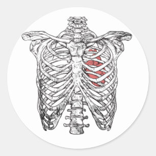 Vintage Rippenkäfig- und Herz-Anatomie-Halloween Runder Aufkleber
